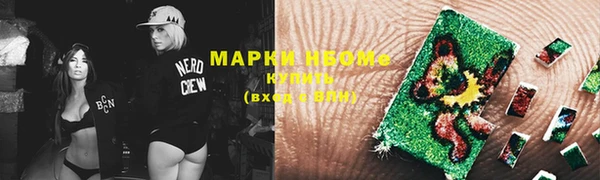 хмурый Сосновка