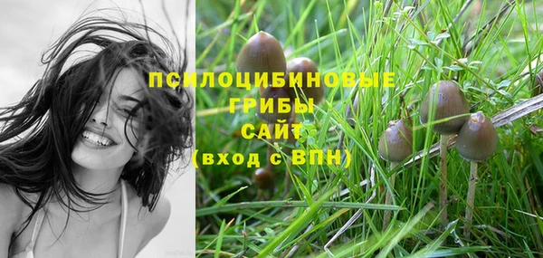 метадон Сосновоборск