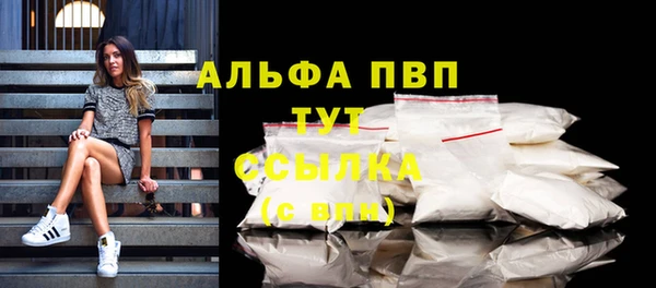 хмурый Сосновка
