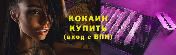 jwh Сосновый Бор