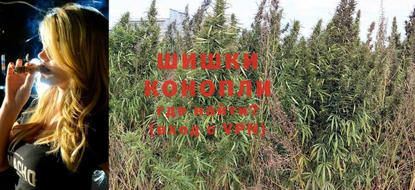 jwh Сосновый Бор