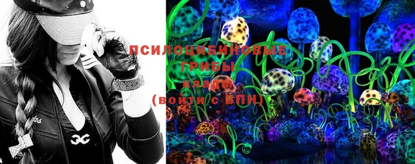 ПСИЛОЦИБИНОВЫЕ ГРИБЫ Ступино