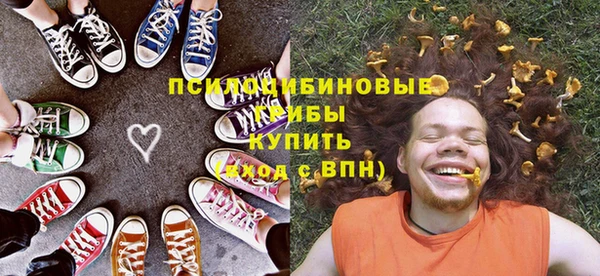 хмурый Сосновка