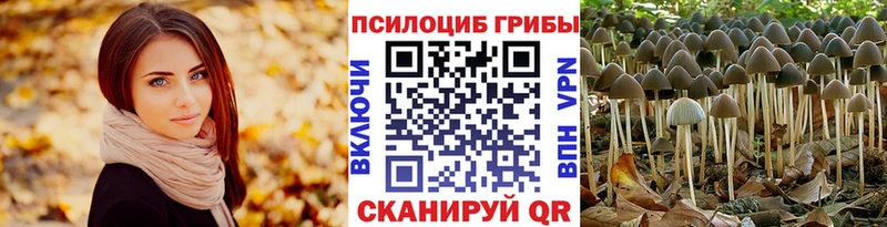 Купить Чайковский Псилоцибиновые грибы прущие грибы